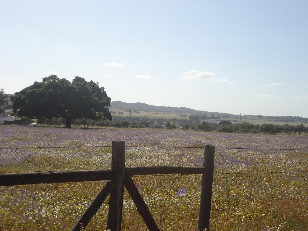 Herdade Dos Montes Bastos Santa Luzia  Exterior photo